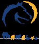 Feature Image for Illinois Horse Rescue of Will County, Inc.